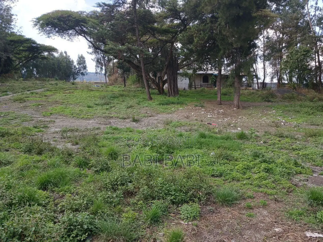 ለአብሮ ማልማት እና ለሽያጭ የቀረቡ ቦታዎች በአዲስ አበባ ውስጥ