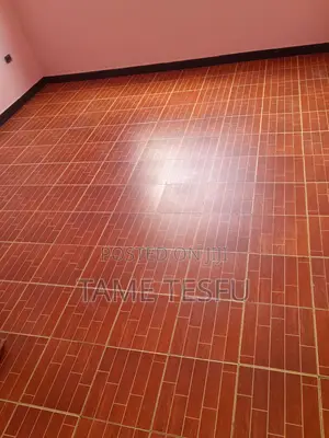 Furnished 6bdrm House in Hayat, Bole for sale