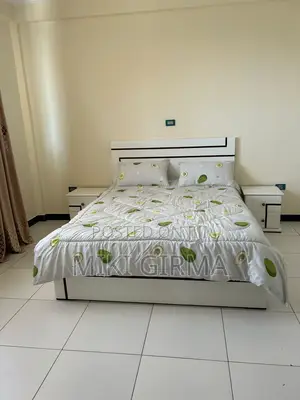 Furnished 8bdrm Penthouse in ቦሌ ሆምስ አካባቢ, Bole for rent