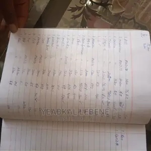 Mosquito Killer Lamp