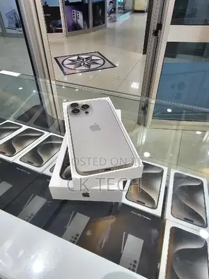 Apple iPhone 15 Pro Max 256 GB Gray