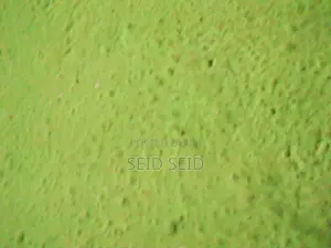 Photo - Part-Time Weekend CV