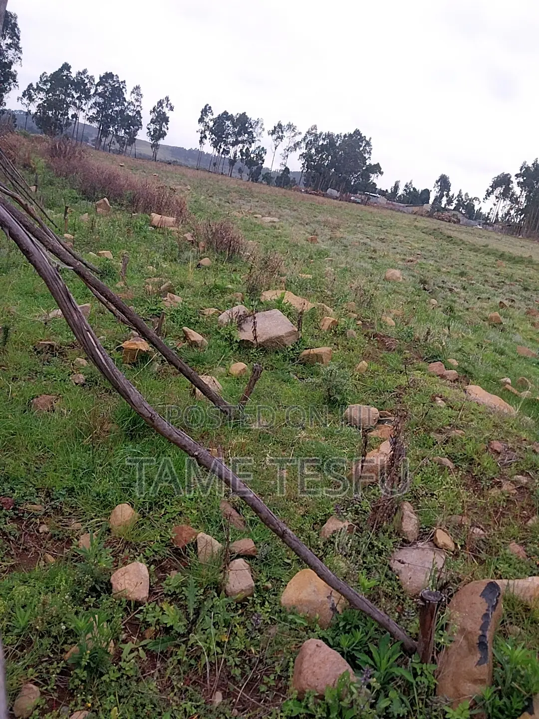 1bdrm House in Kotobe, Yeka for rent