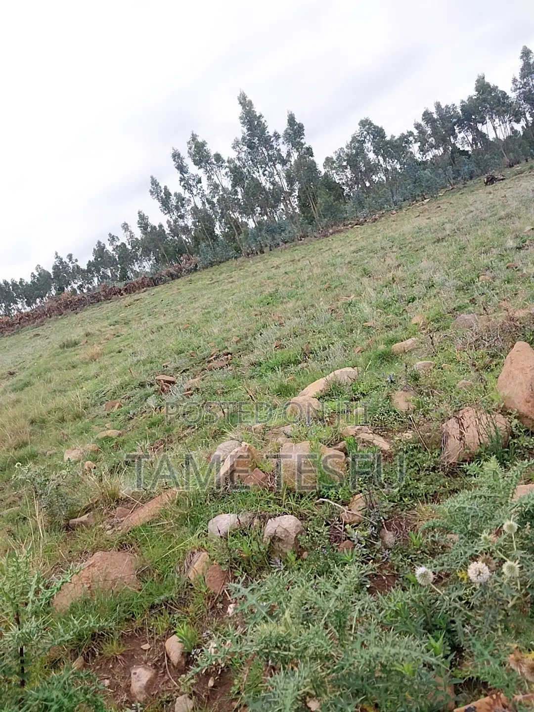 1bdrm House in Kotobe, Yeka for rent