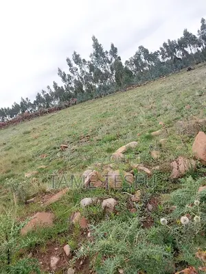 1bdrm House in Kotobe, Yeka for rent