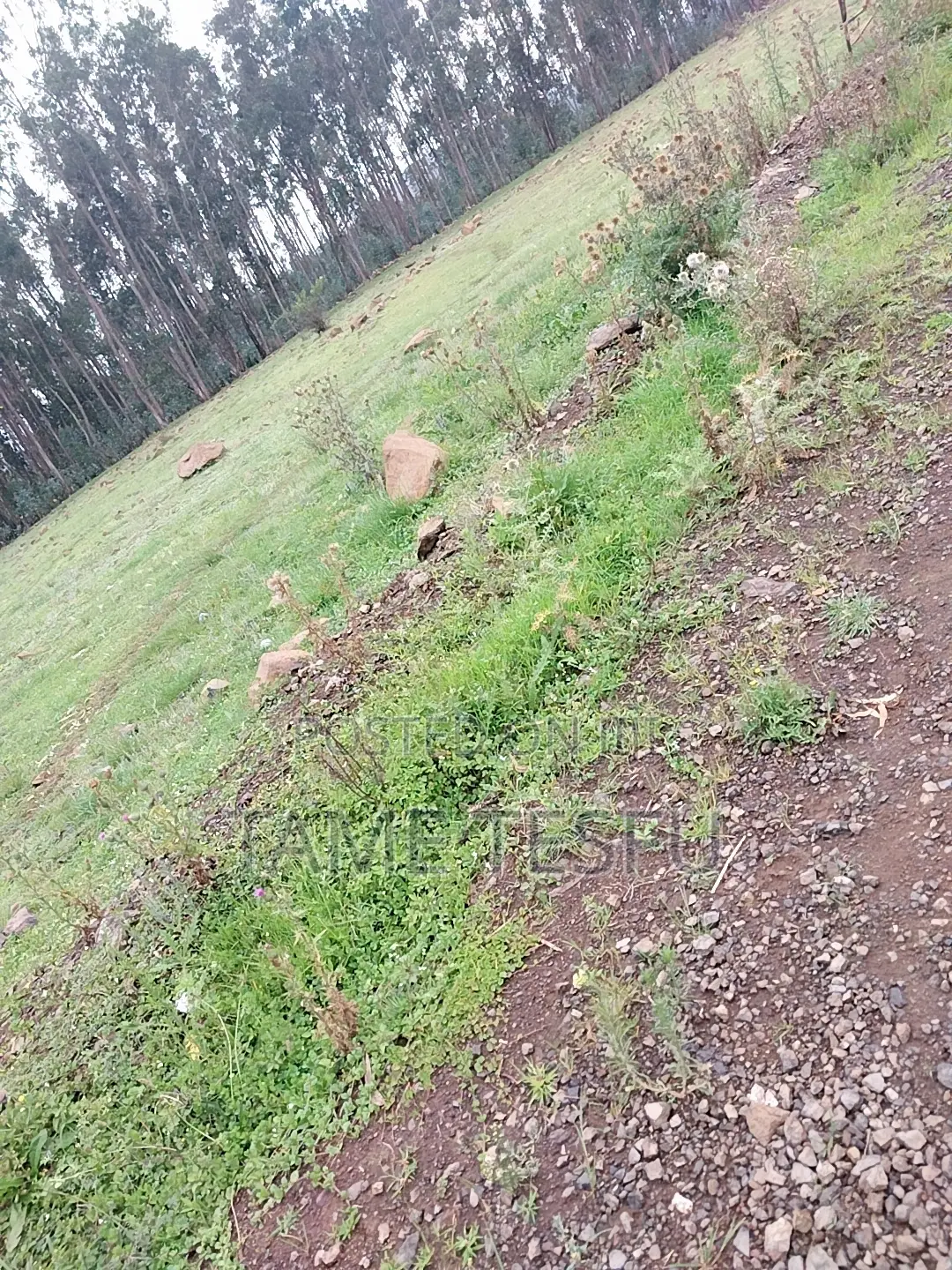 1bdrm House in Kotobe, Yeka for rent