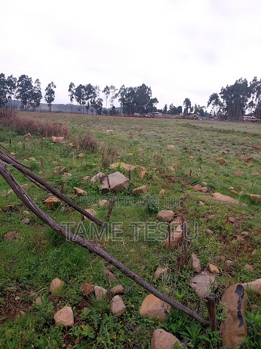 1bdrm House in Kotobe, Yeka for rent