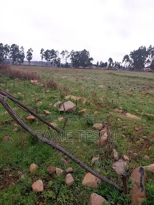 1bdrm House in Kotobe, Yeka for rent