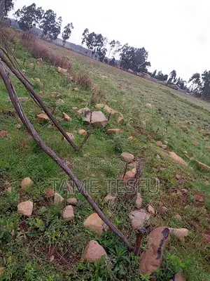 1bdrm House in Kotobe, Yeka for rent