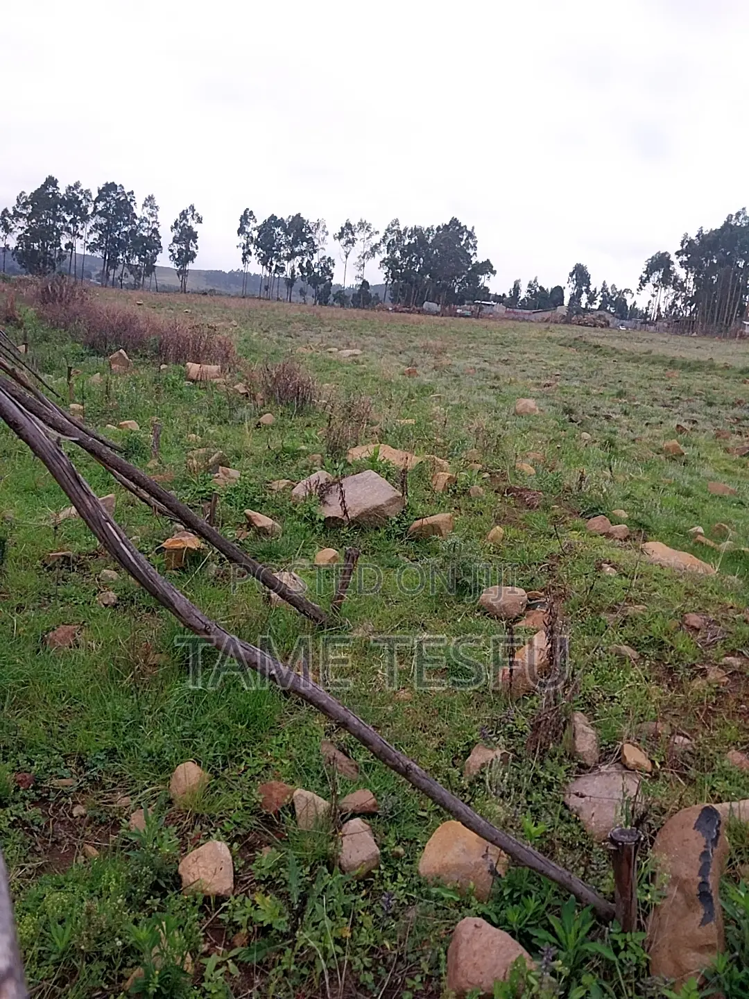 1bdrm House in Kotobe, Yeka for rent