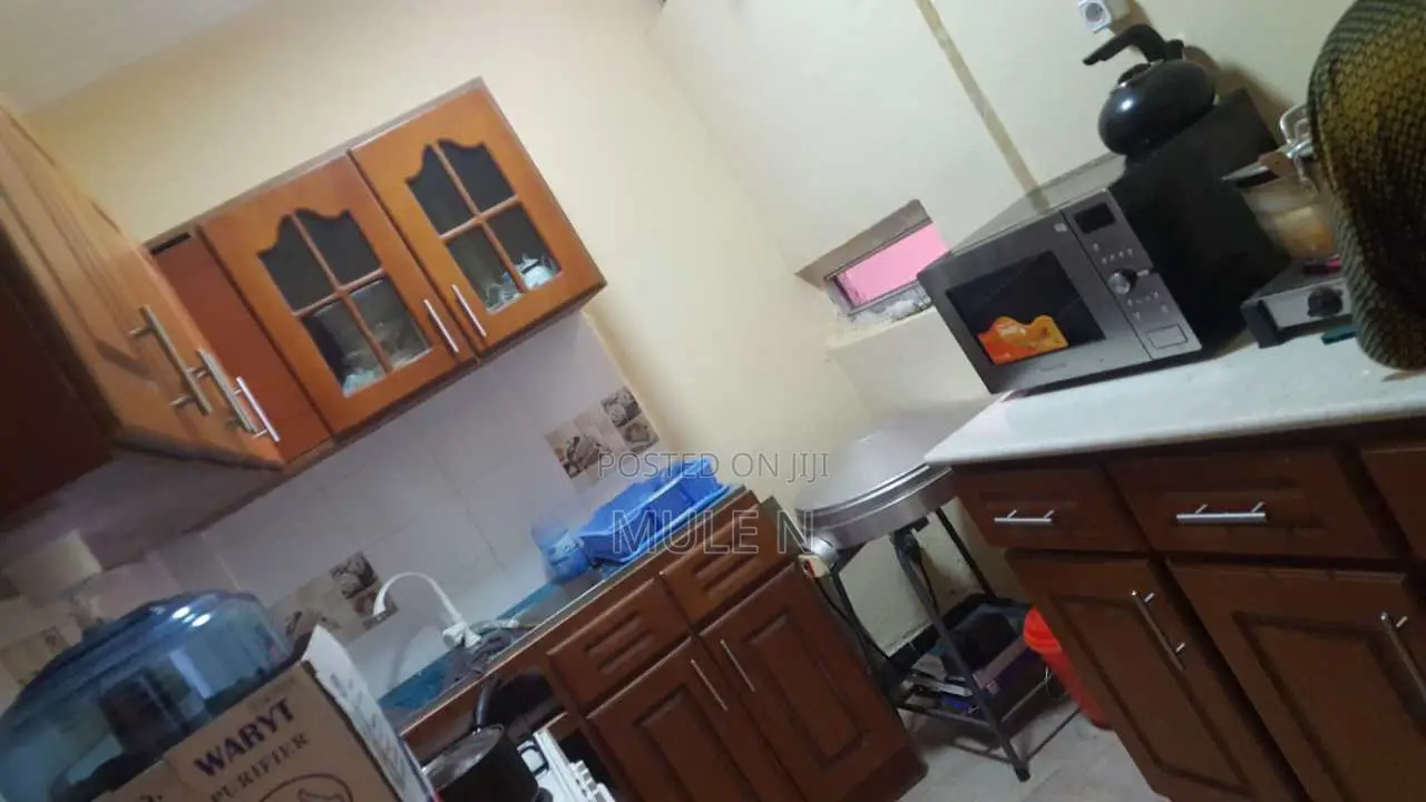 Furnished 4bdrm House in Ayat Kibir Damena, Yeka for sale