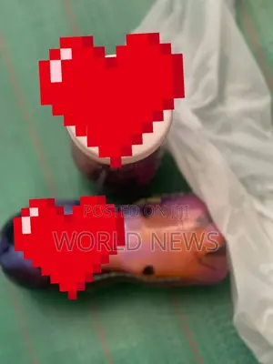 Photo - Women Pussy for Men