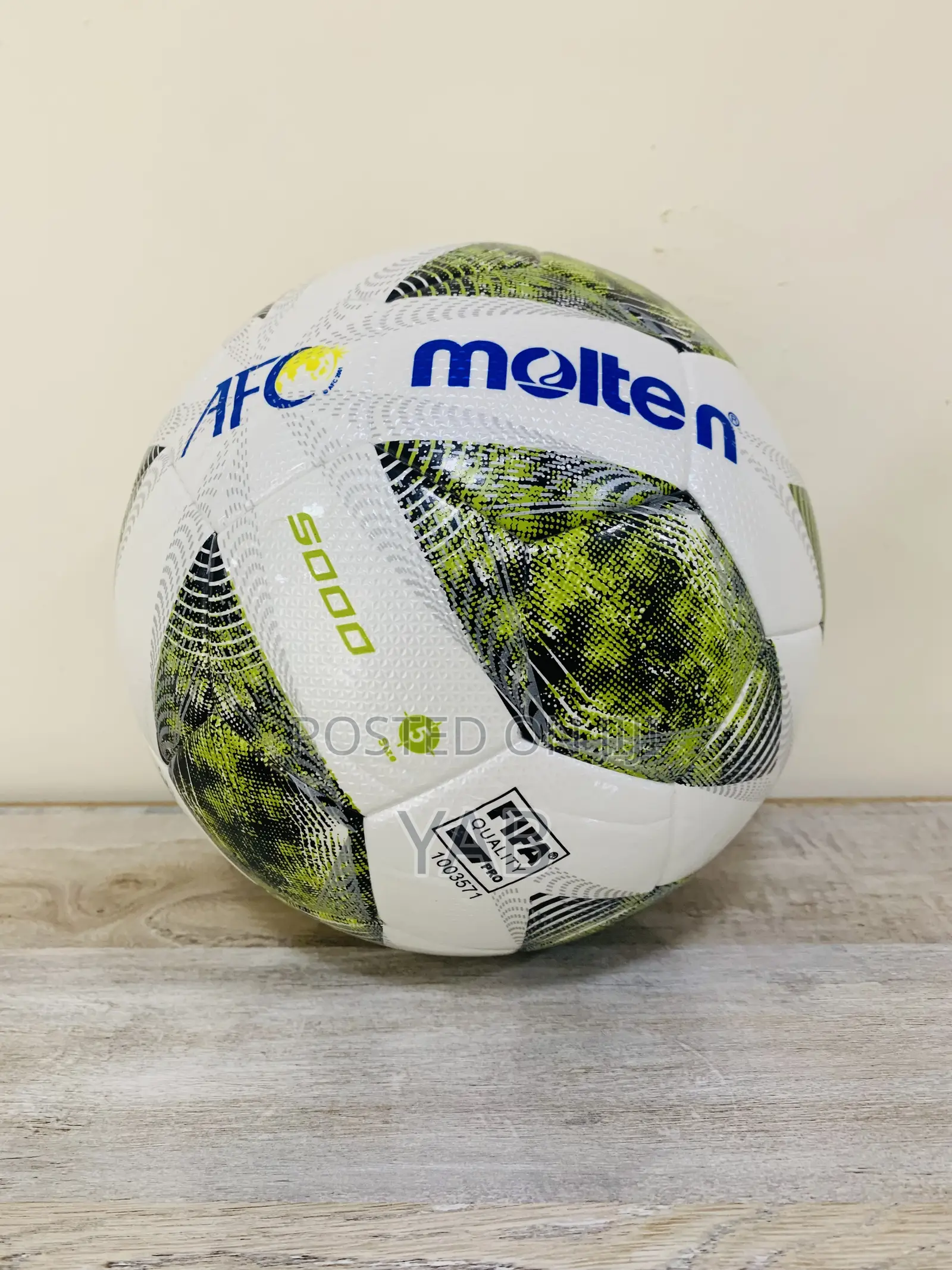 FIFA Molten Balls