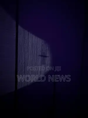 Photo - Realistic Silicone Dildo