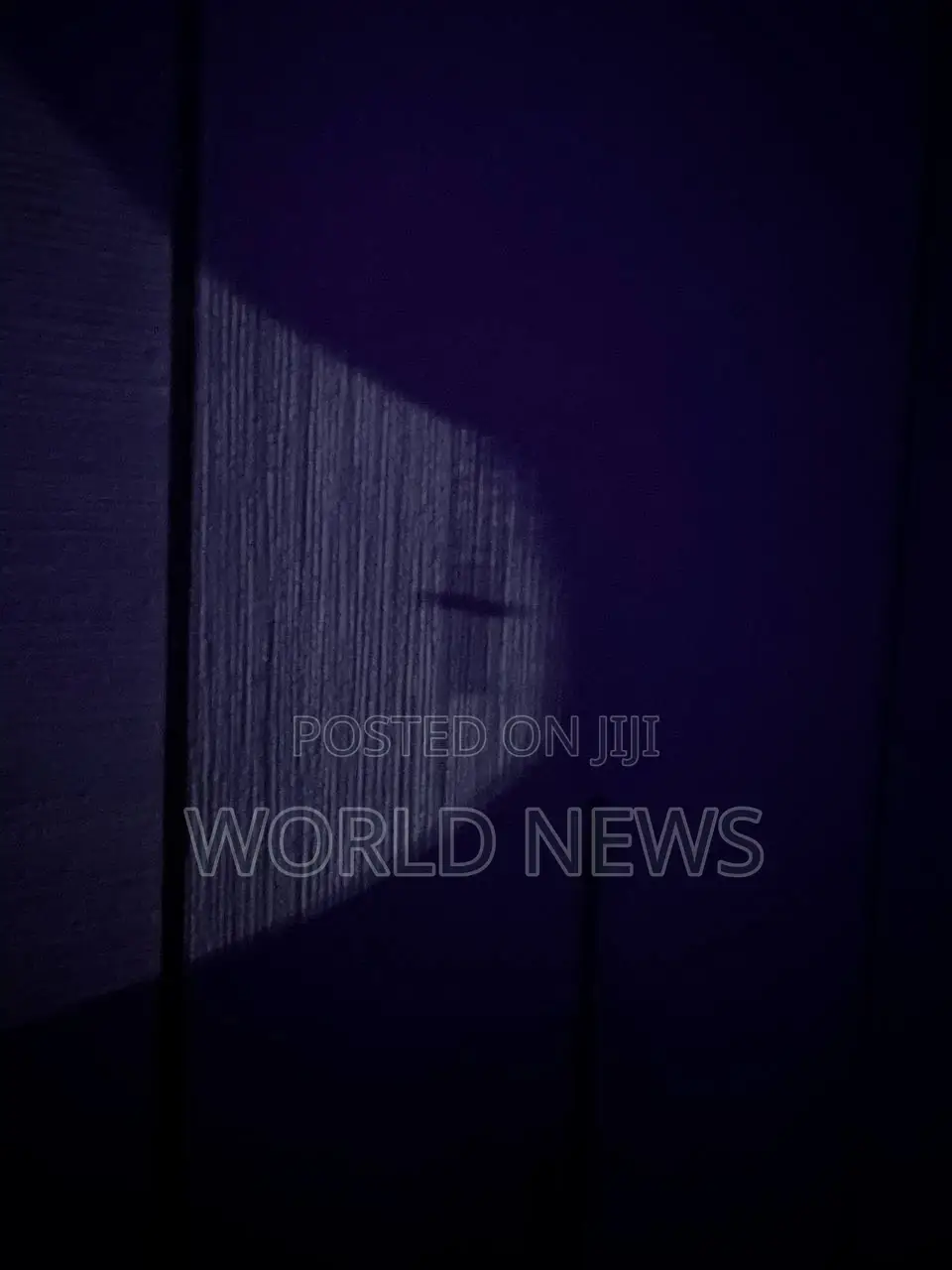 Realistic Silicone Dildo