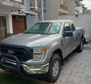 Ford F-150 2021 Silver