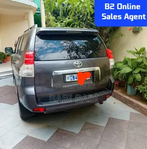 Toyota Land Cruiser Prado 2013 Gray