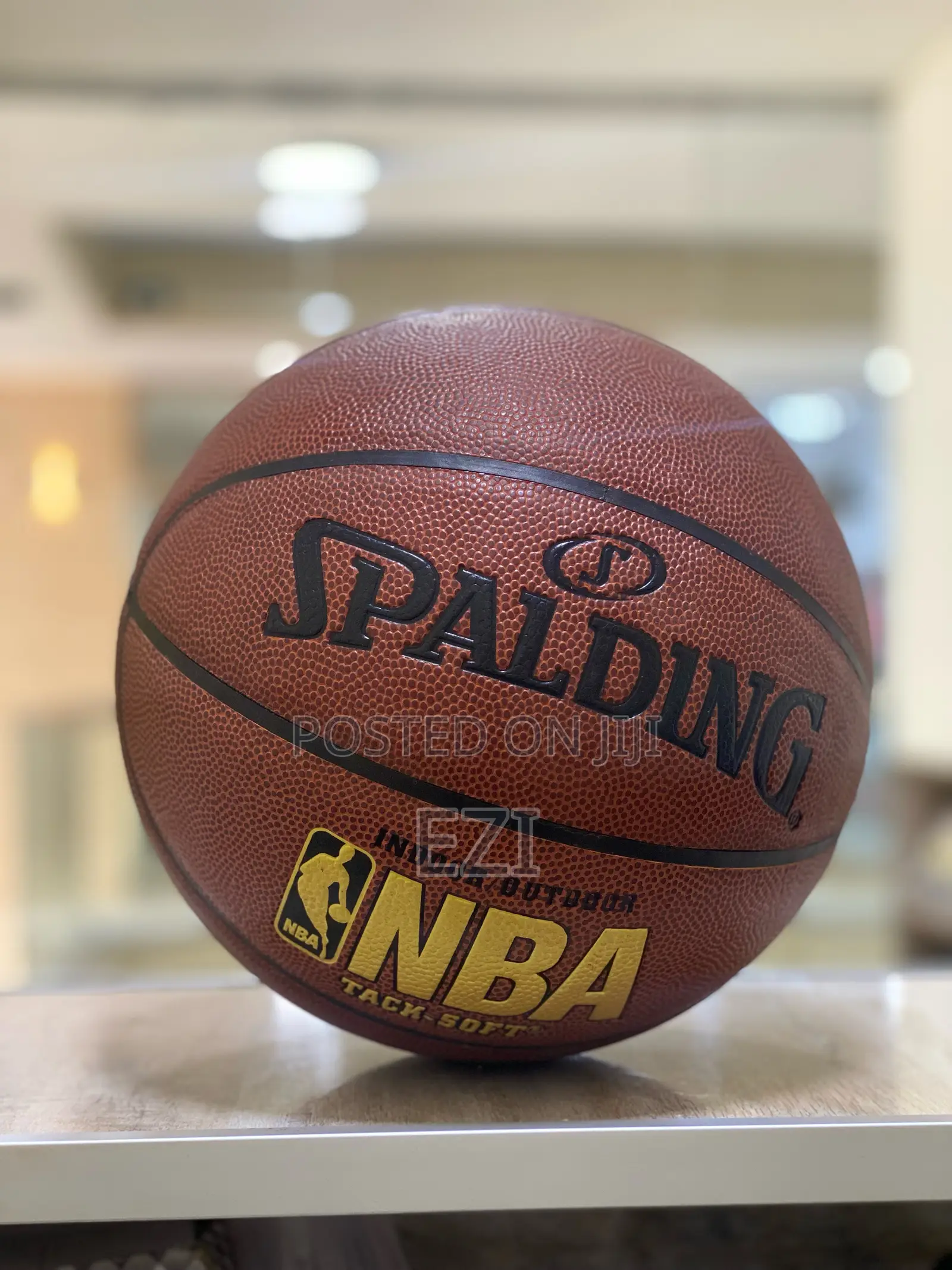 Spalding Nba