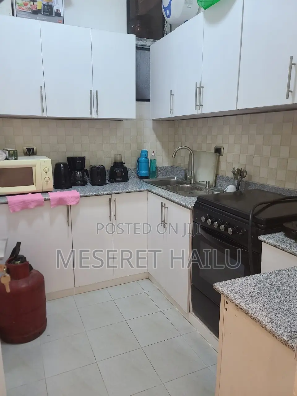 Furnished 2bdrm Apartment in Bole Bolbula for rent