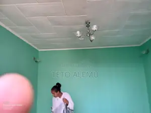 2bdrm Villa in የሚሸጥ ቪላ ቤተል, Kolfe Keranio for sale