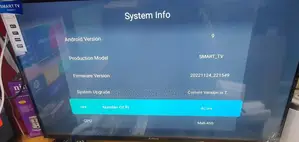 Skylive 43" Smart Tv