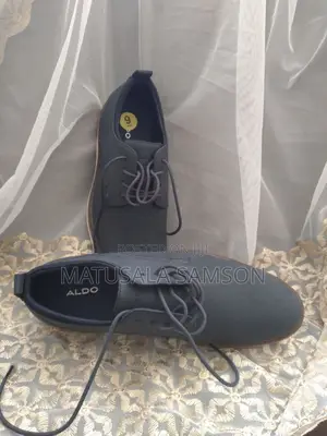 Aldo Men's Classic Shoes