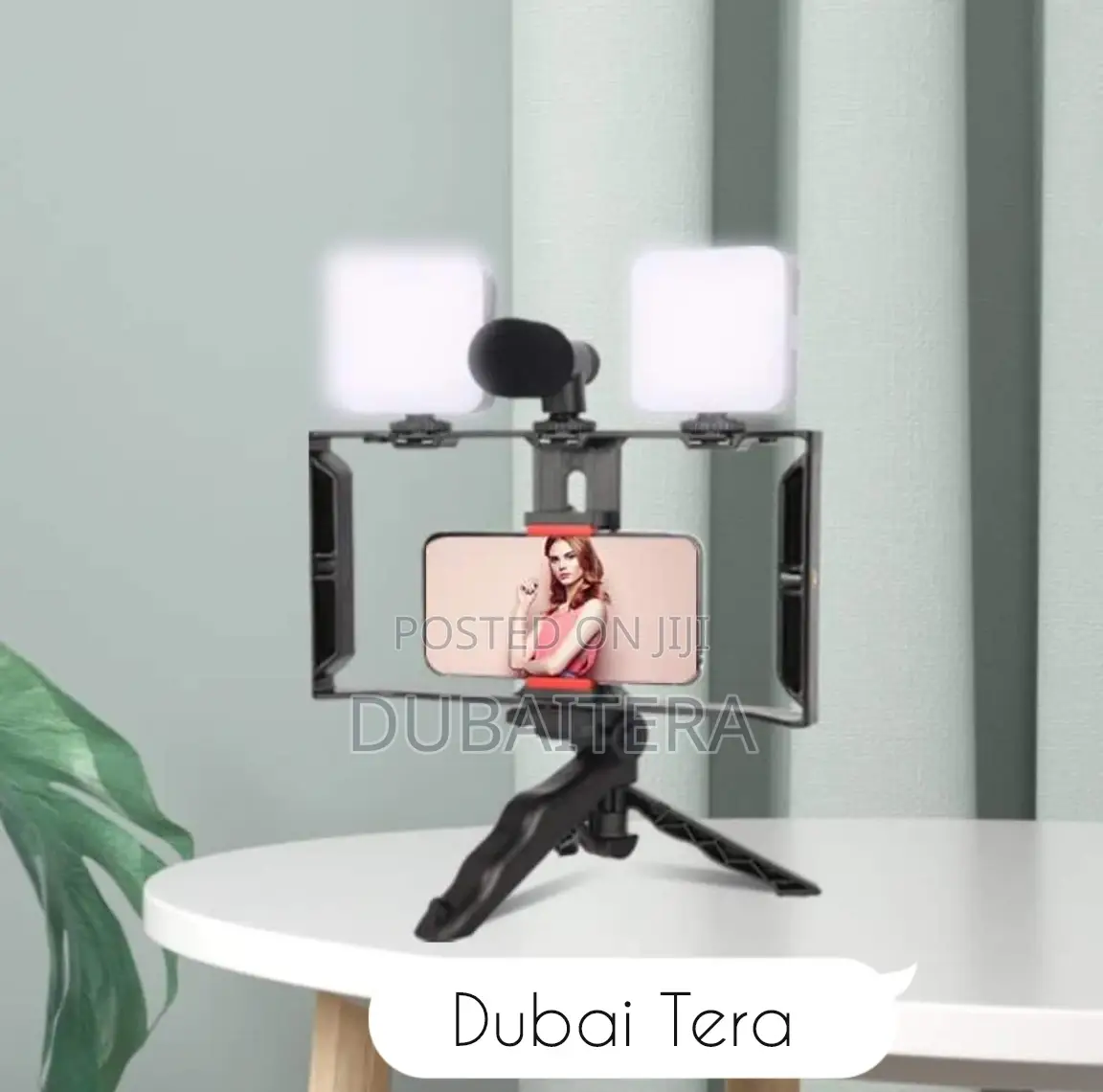 Original Video Making Kit With Two Led Light