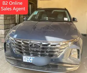 New Hyundai Tucson 2023 Blue