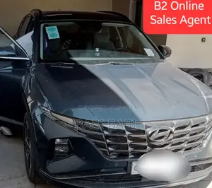 New Hyundai Tucson 2023 Blue