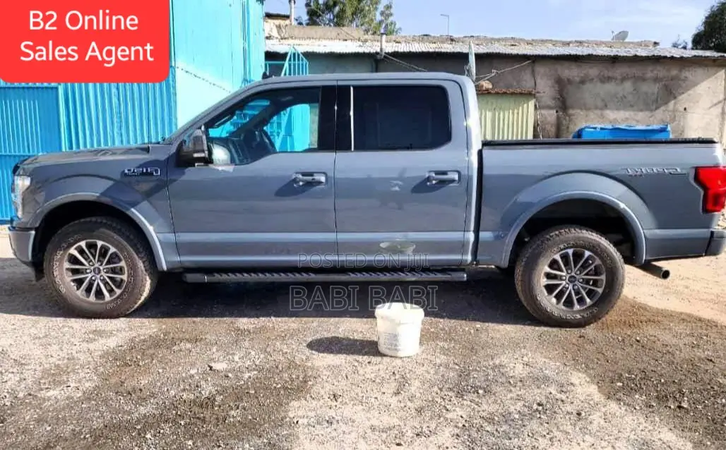 Ford F-150 2020 Gray