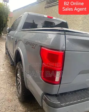 Ford F-150 2020 Gray
