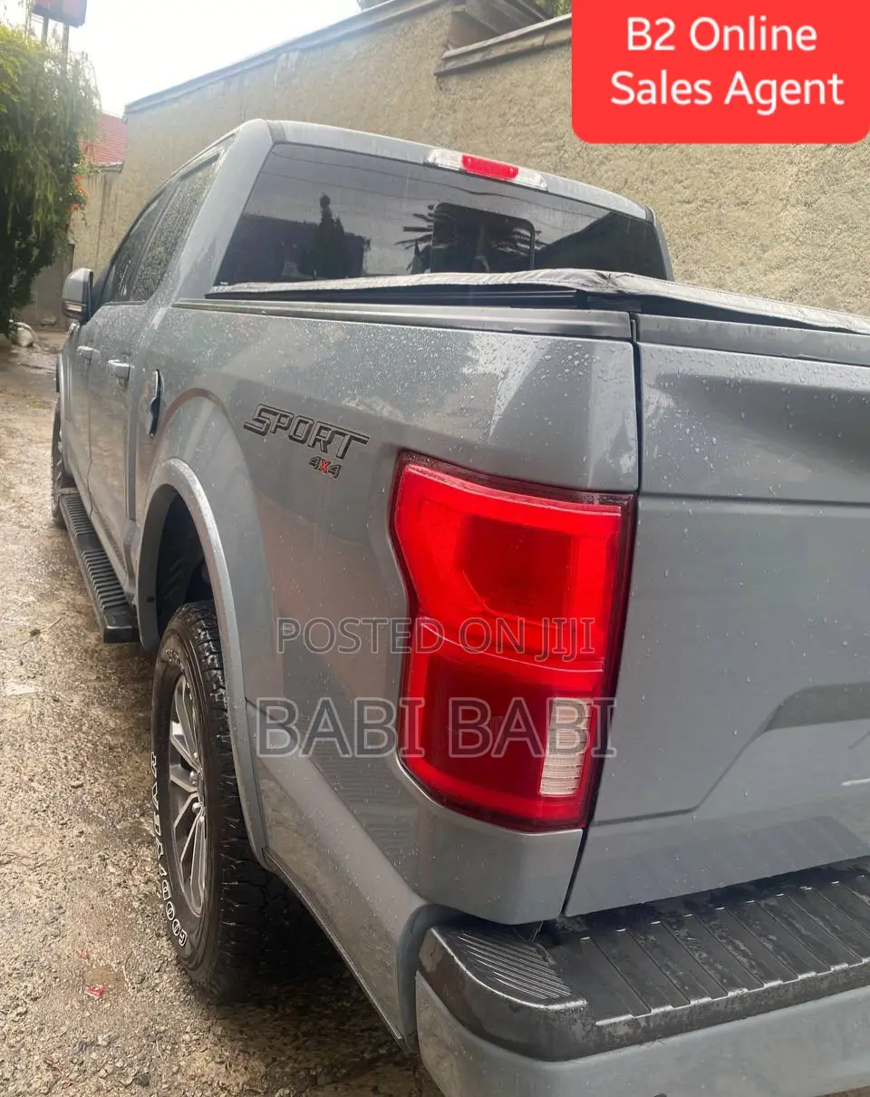 Ford F-150 2020 Gray