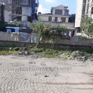 Photo - Yemeshet Konjo Bota Be Ayat