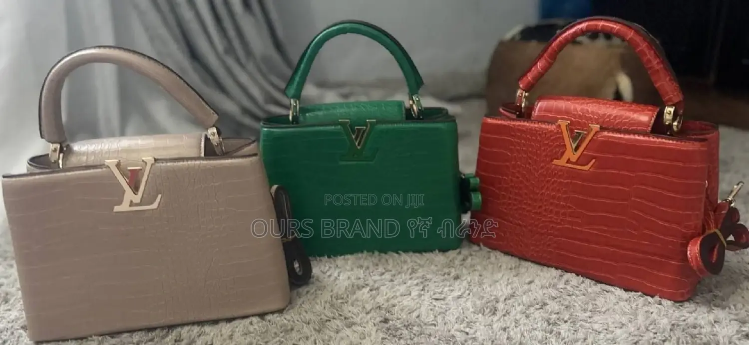 Louis Vuitton Origional Master Quality Luxurious Bag