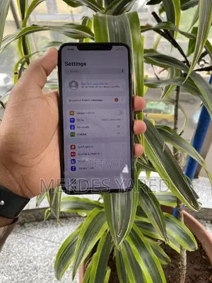 New Apple iPhone XS Max 256 GB Gold