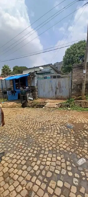 Photo - የሚሸጥ 250ካሬ ሜ የድሮ ቪላ ቤት