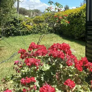 14bdrm House in ሰሚት ፍየልቤት G+2 ዘመናዊ, Bole for sale