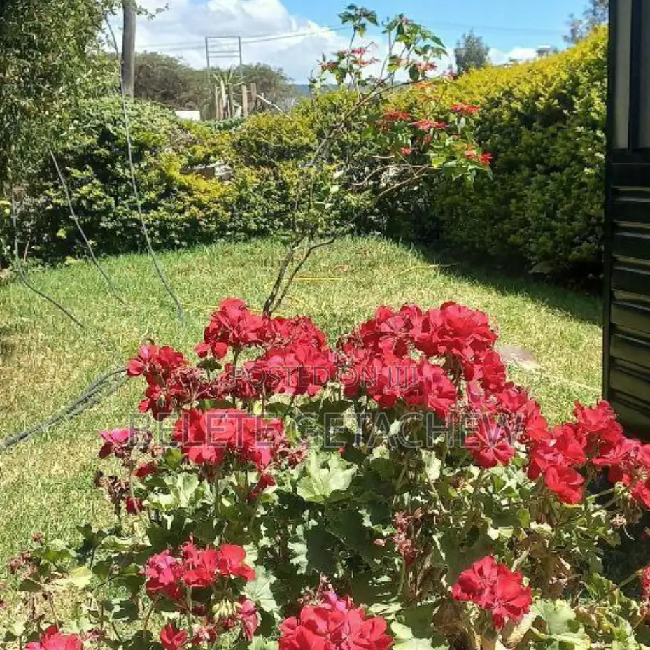 14bdrm House in ሰሚት ፍየልቤት G+2 ዘመናዊ, Bole for sale