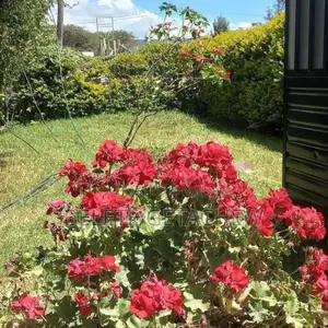 14bdrm House in ሰሚት ፍየልቤት G+2 ዘመናዊ, Bole for sale