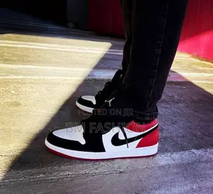 Air Jordan Dunk Low Black and Red