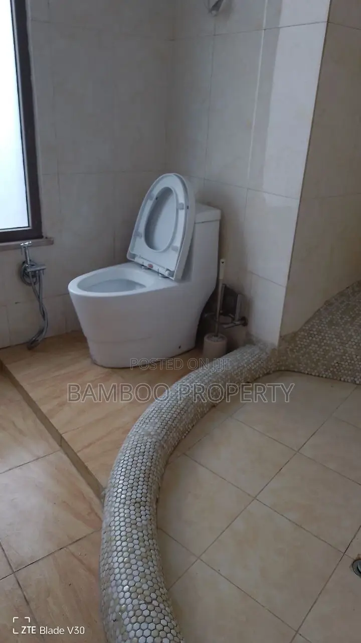 Furnished 2bdrm Apartment in Bole for rent