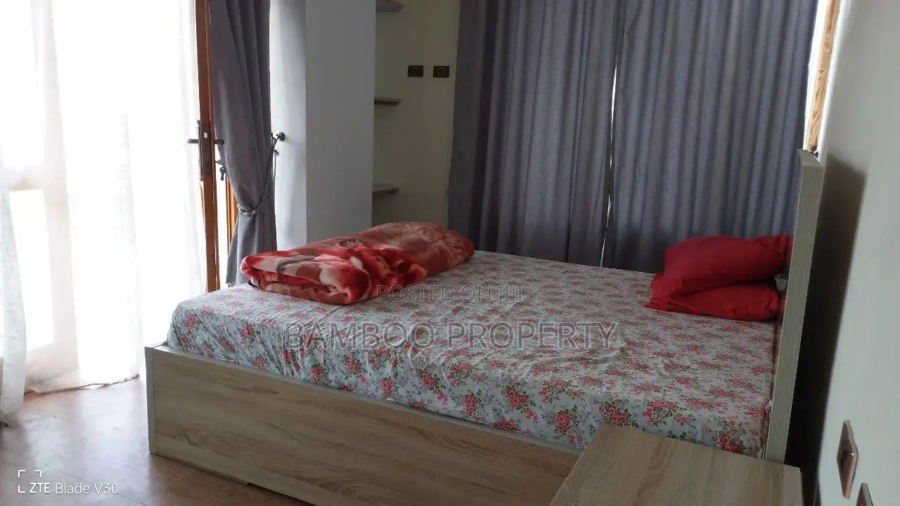 Furnished 2bdrm Apartment in Bole for rent