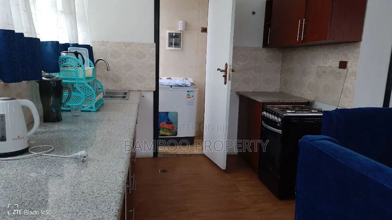 Furnished 2bdrm Apartment in Bole for rent