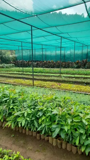 Construction Net, Garden Net