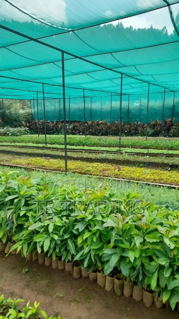 Construction Net, Garden Net