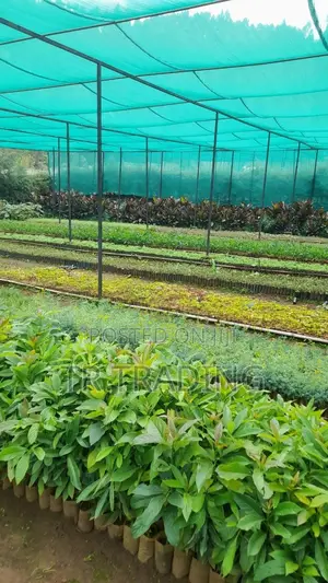 Construction Net, Garden Net