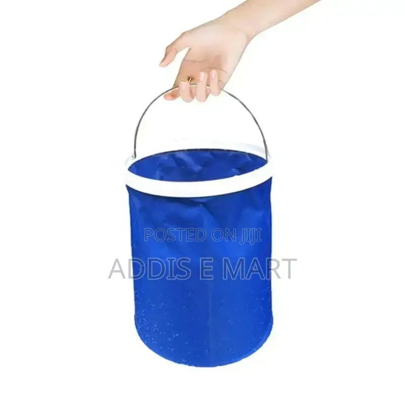 Portable Smart Shower