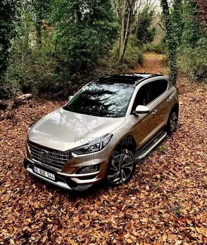 Hyundai Tucson Limited AWD 2020 Brown