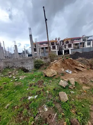 አራብሳ ዲያስፖራ የሚሸጥ መሰርት የወጣ ቦታ