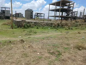 Photo - የሚሸጥ መሰርት በተዎዳጁ አራብሳ ዲያስፖራ